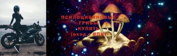 спиды Зерноград